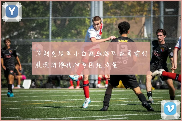 马刺克绿军小白鼓励球队奋勇前行展现拼搏精神与团结力量